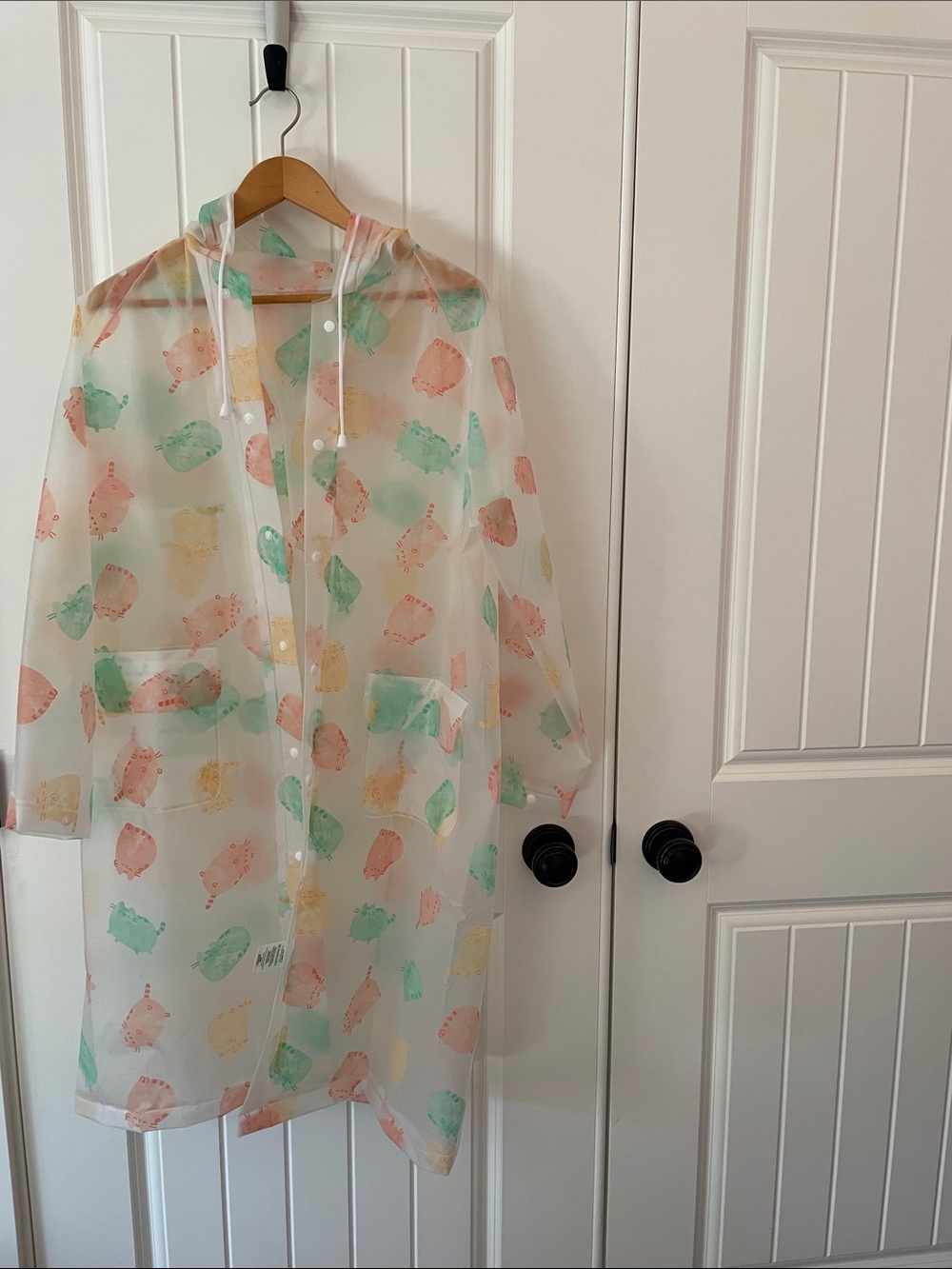 Pusheen Transparent Raincoat with Pastel Pusheen Print (Green, Pink, Yellow)
